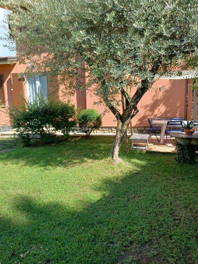 A Casa Di Berta Apartamento Pietrasanta Exterior foto